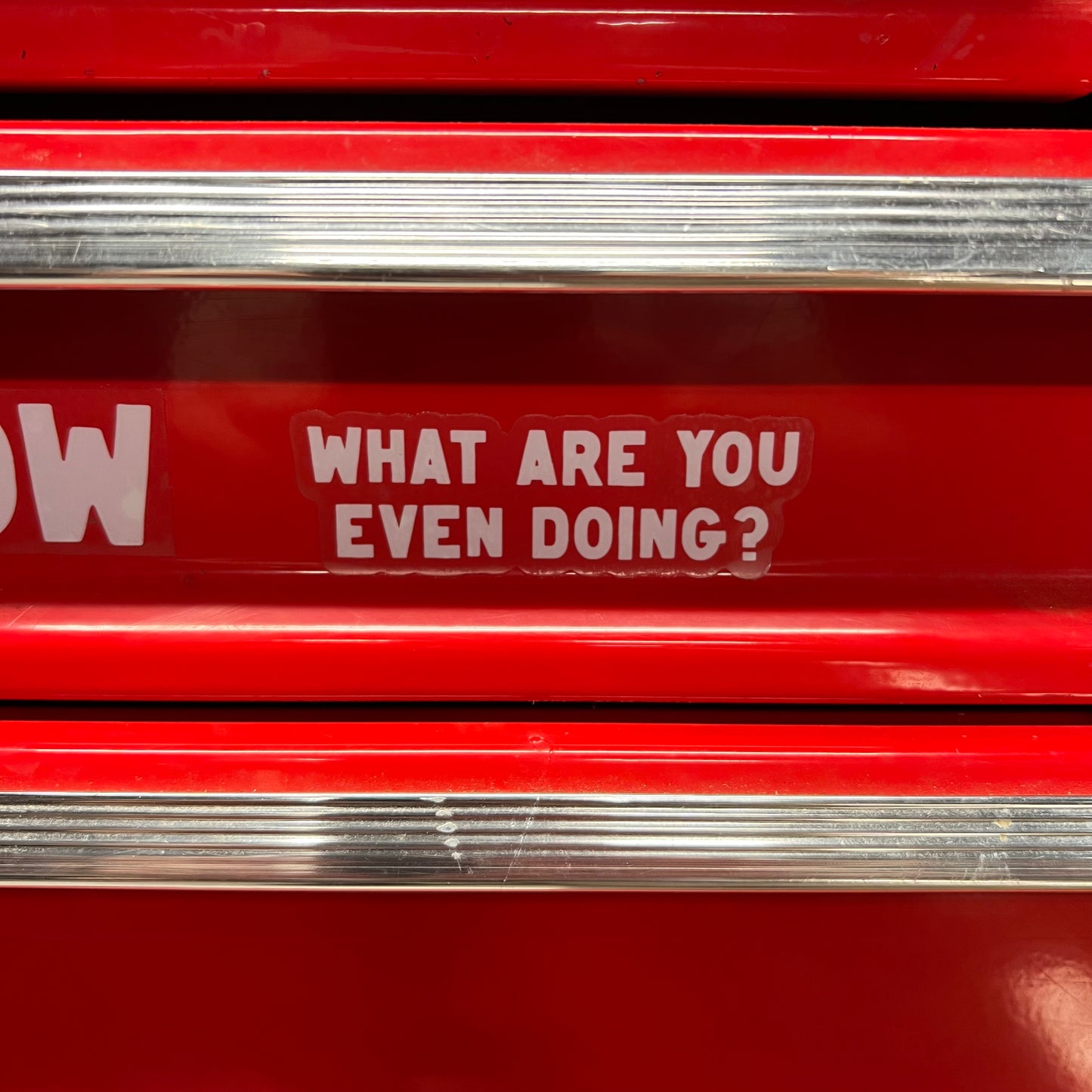 WHAT ARE YOU EVEN DOING? CLEAR VINYL STICKER