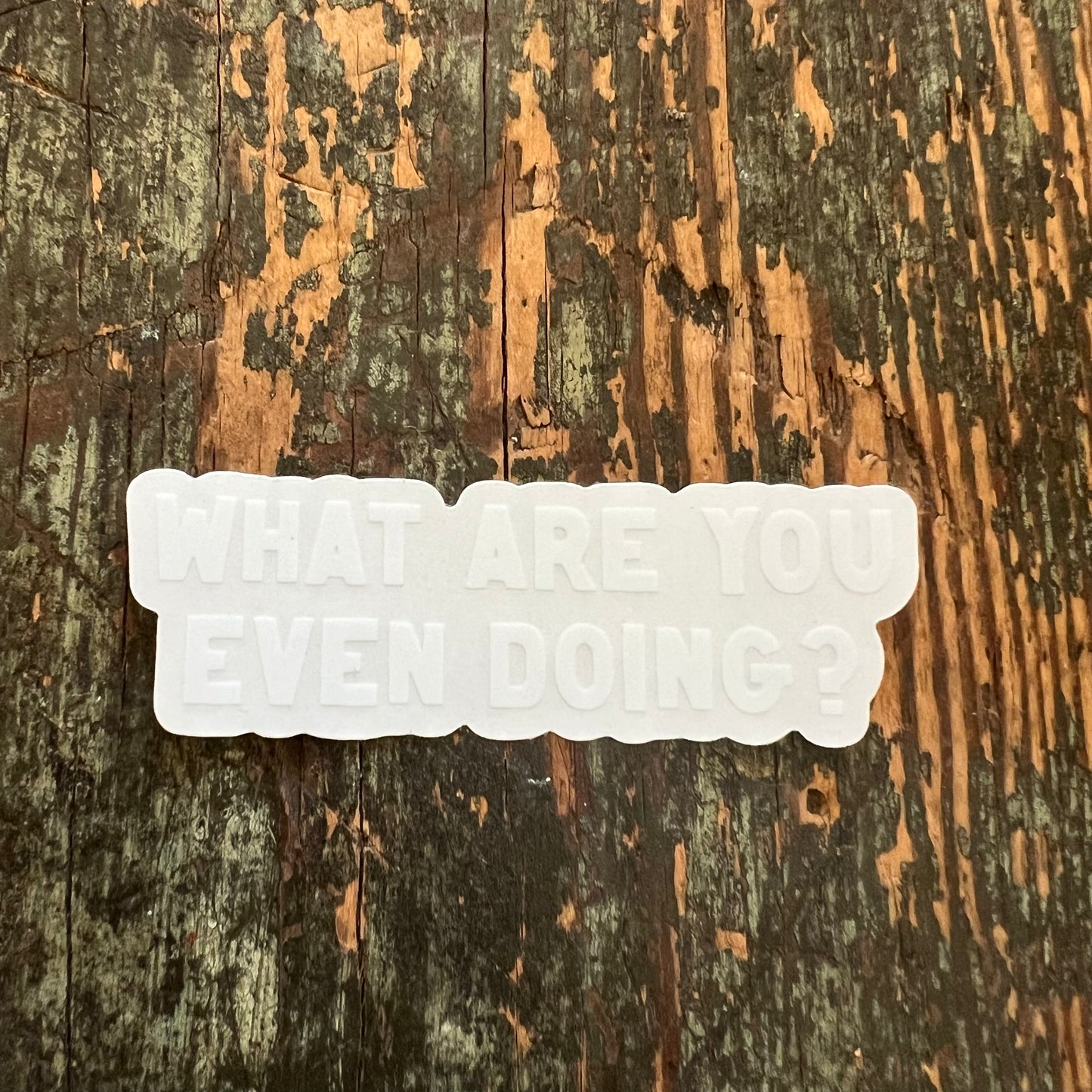 WHAT ARE YOU EVEN DOING? CLEAR VINYL STICKER